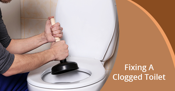 Fixing A Clogged Toilet
